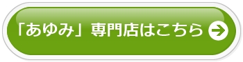 介護シューズ「あゆみ」