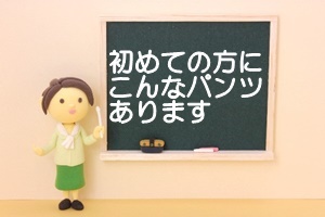 大人用おむつ,大人用パンツ,初めて,尿取りパッド,組み合わせ,最適,うす型